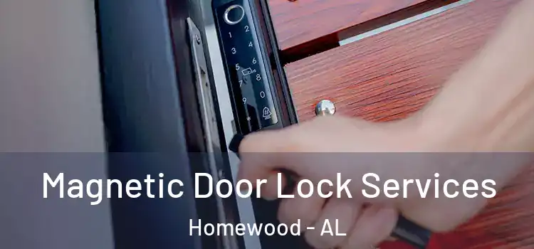 Magnetic Door Lock Services Homewood - AL